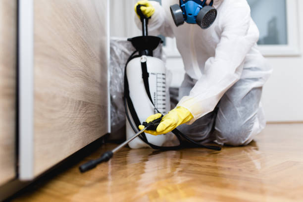 Best Termite Control Services  in Wauconda, IL