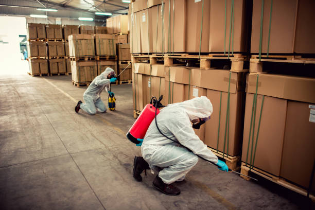 Best Insect Control  in Wauconda, IL