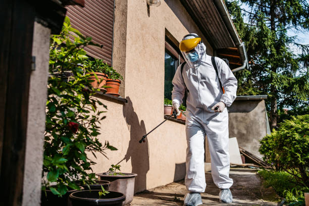 Best Local Pest Control Services  in Wauconda, IL