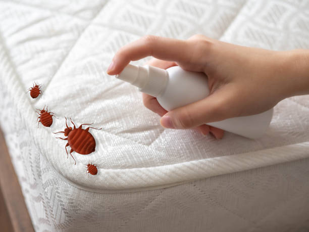 Best Best Pest Control Companies  in Wauconda, IL